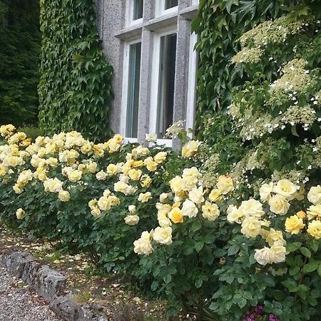 Courtyard Cottage Carlow Exterior foto