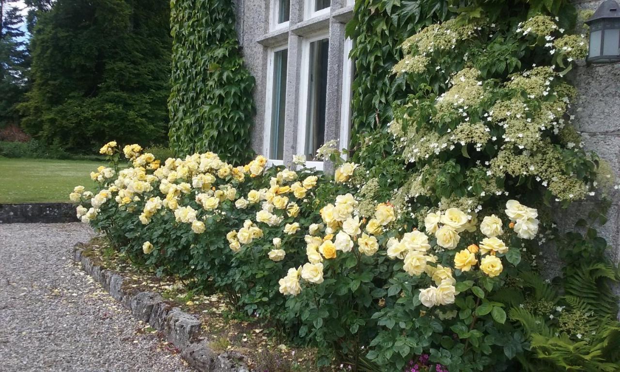 Courtyard Cottage Carlow Exterior foto